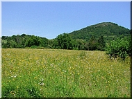 dscn0012760-2.jpg