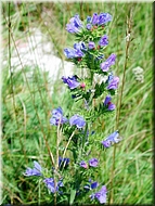 dscn0012782-2.jpg