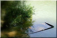 dscn0012786-2.jpg