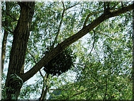 dscn0012787-2.jpg