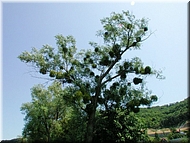 dscn0012790-2.jpg