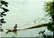 dscn0012791-2.jpg