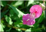 dscn0012792-2.jpg