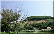 dscn0012793-2.jpg