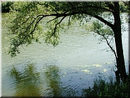 dscn0012795-2.jpg