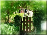 dscn0012800-2.jpg