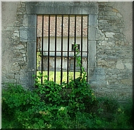 dscn0012806-2.jpg