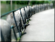 dscn0012813-5.jpg
