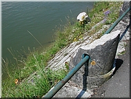 dscn0012817-2.jpg