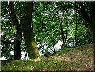 dscn0012822-2.jpg