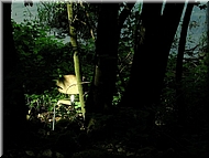 dscn0012831-2.jpg
