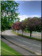 2008-08-20_16-57-11_3