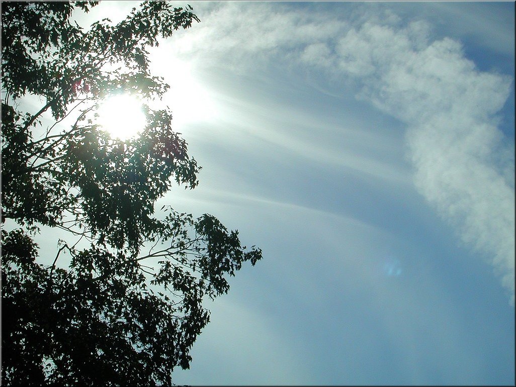 dscn0014775.jpg