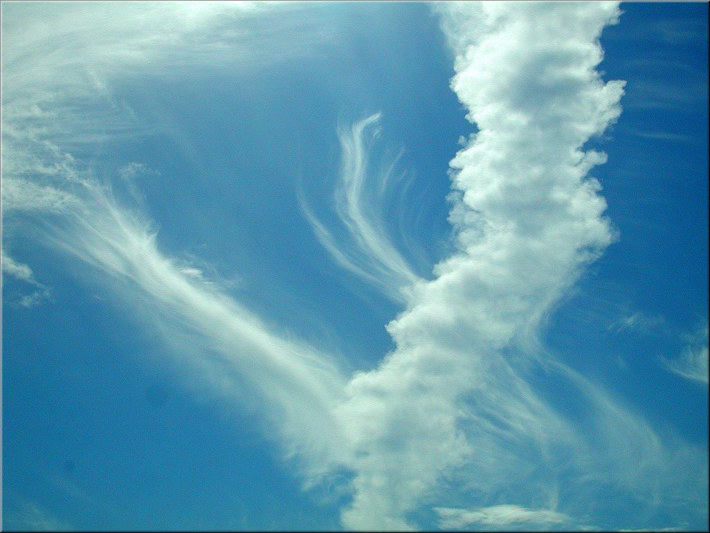 dscn0014779.jpg