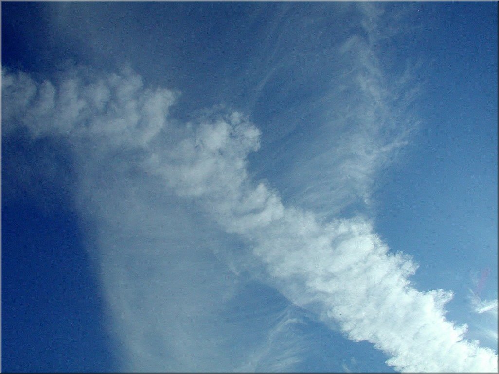 dscn0014789.jpg