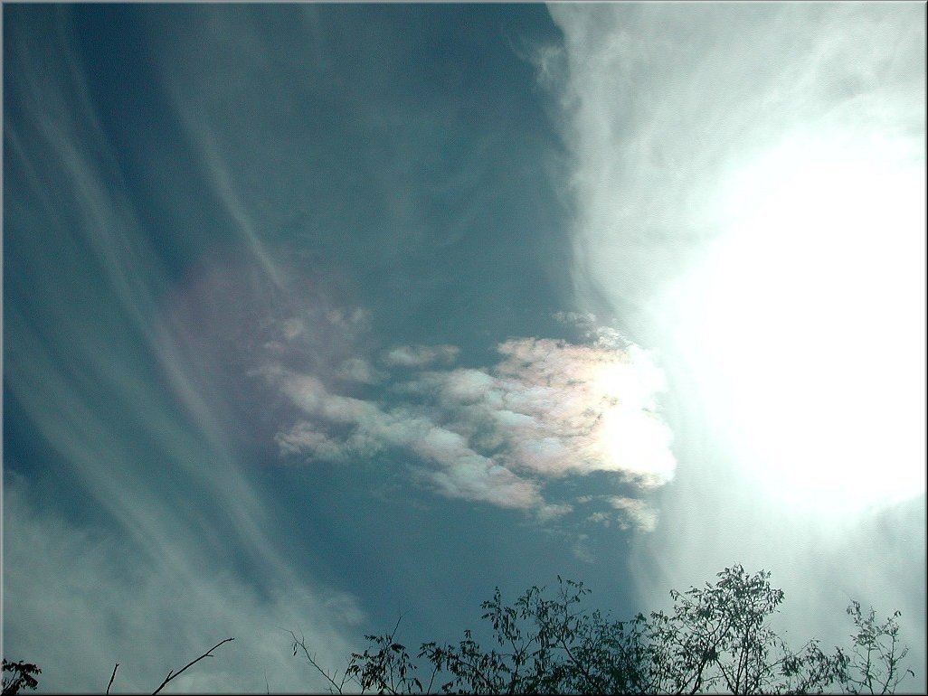 dscn0014807.jpg