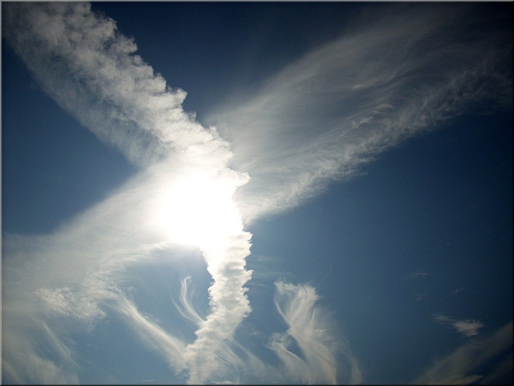 dscn0014808.jpg