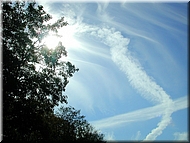 dscn0014774.jpg