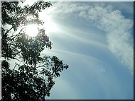 dscn0014775.jpg
