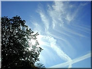 dscn0014776.jpg