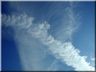 dscn0014789.jpg