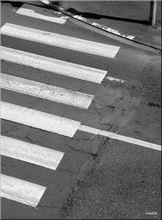A003.JPG