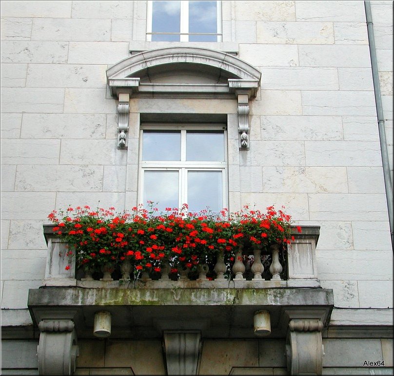 A009.JPG
