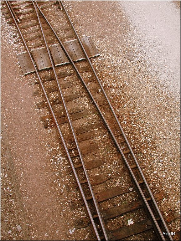 A020.JPG