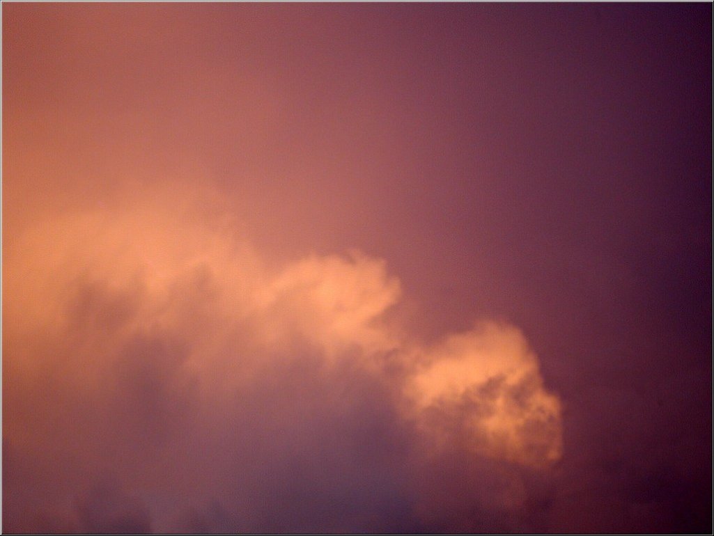 DSCN9601.jpg