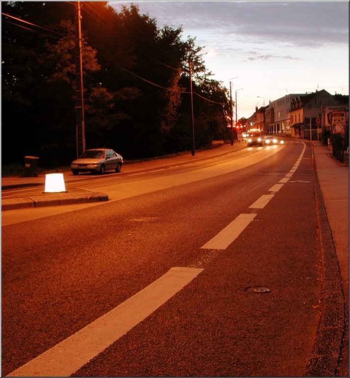 DSCN9684.jpg