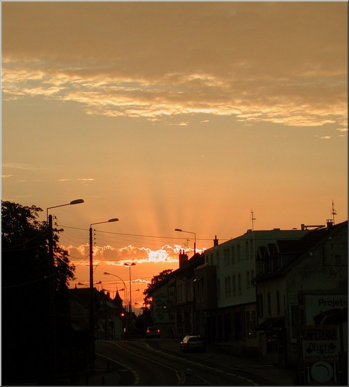 DSCN9711.jpg