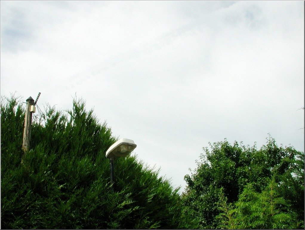 N2008-07-31-1370.jpg