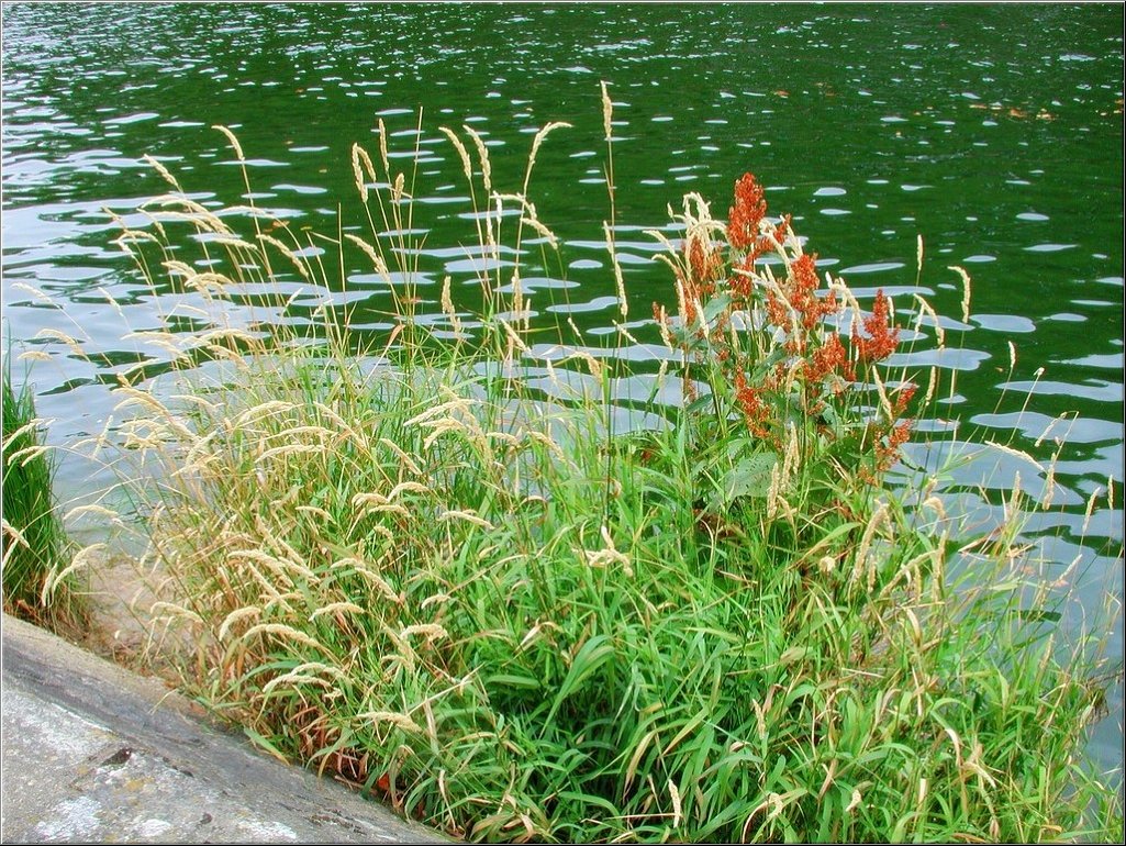N2008-07-31-1501.jpg