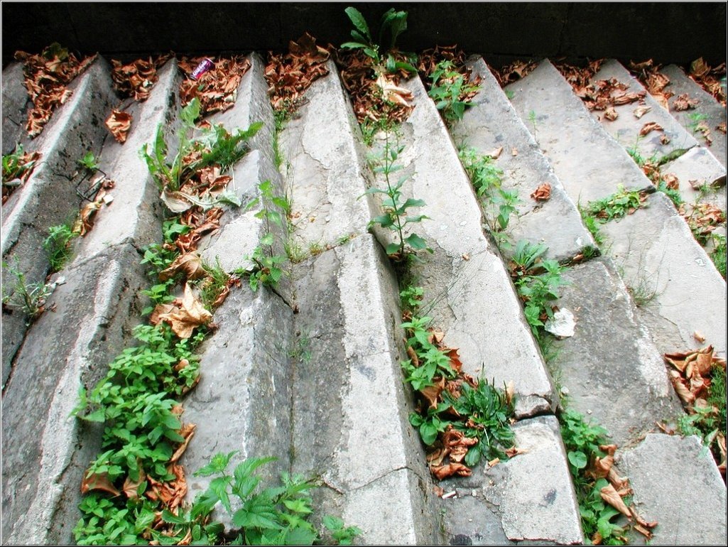 N2008-07-31-1581.jpg