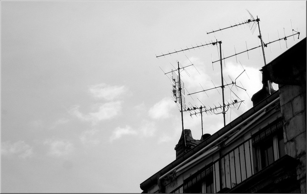 N2008-07-31-1738.jpg