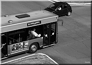 A002