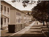 N2008-07-31-1321