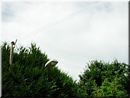 N2008-07-31-1370