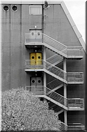 N2008-07-31-1375