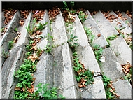 N2008-07-31-1581