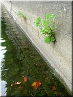 N2008-07-31-1587