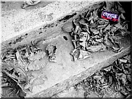 N2008-07-31-1595