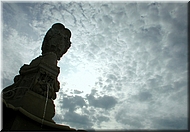 N2008-07-31-1863
