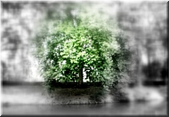N2008-07-31-1965