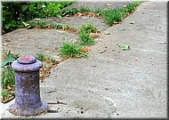 N2008-07-31-2010