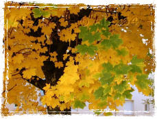 Automne