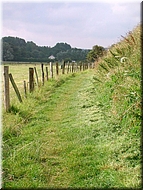 chemin085.jpg