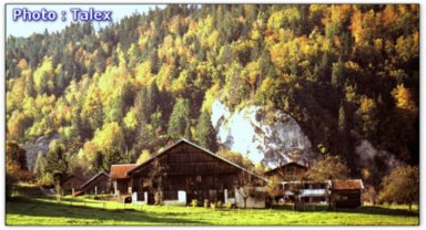 Ferme