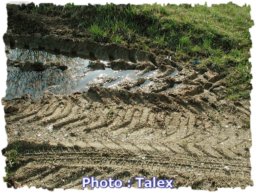 traces de roues