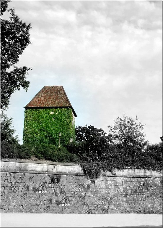 DSCN1563_4 HDR3